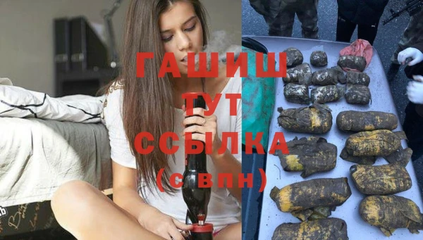 стаф Богородск