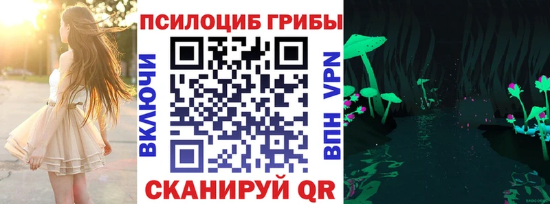 Псилоцибиновые грибы мицелий  hydra как войти  darknet наркотические препараты  Берёзовка 